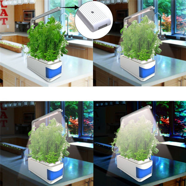 Hydroponic Desktop Grow Pot Lamp