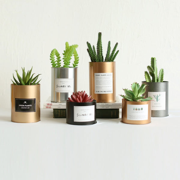 Metal Can Plant Holder