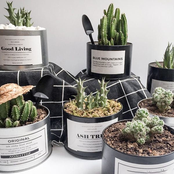 Metal Can Plant Holder