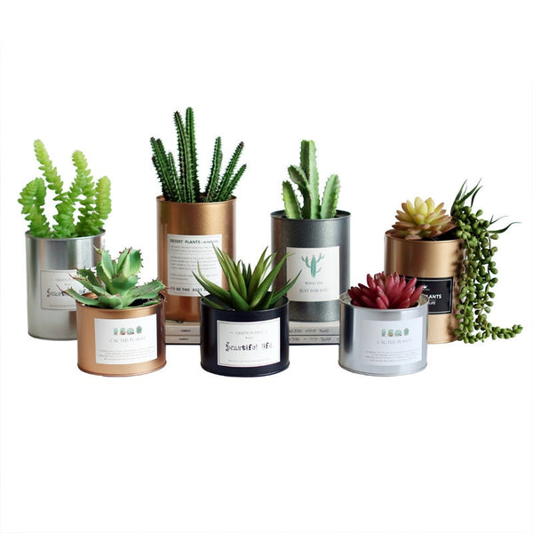 Metal Can Plant Holder