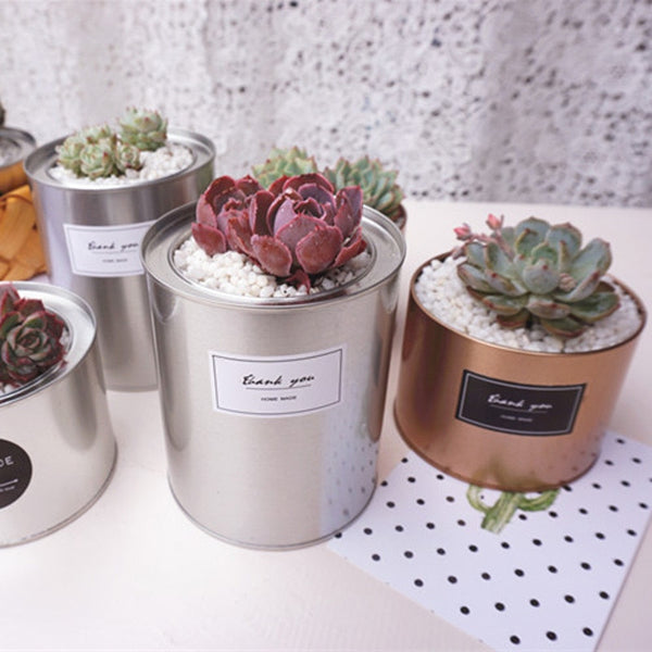 Metal Can Plant Holder