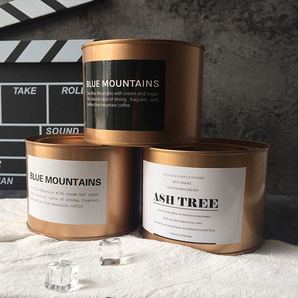 Metal Can Plant Holder