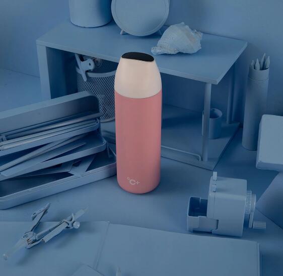 Smart Thermos With LED Temperature Display
