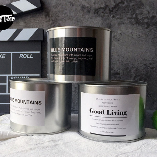 Metal Can Plant Holder