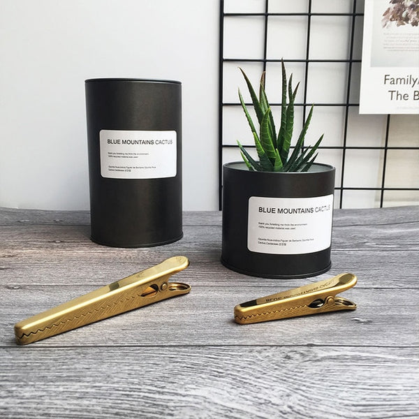 Metal Can Plant Holder