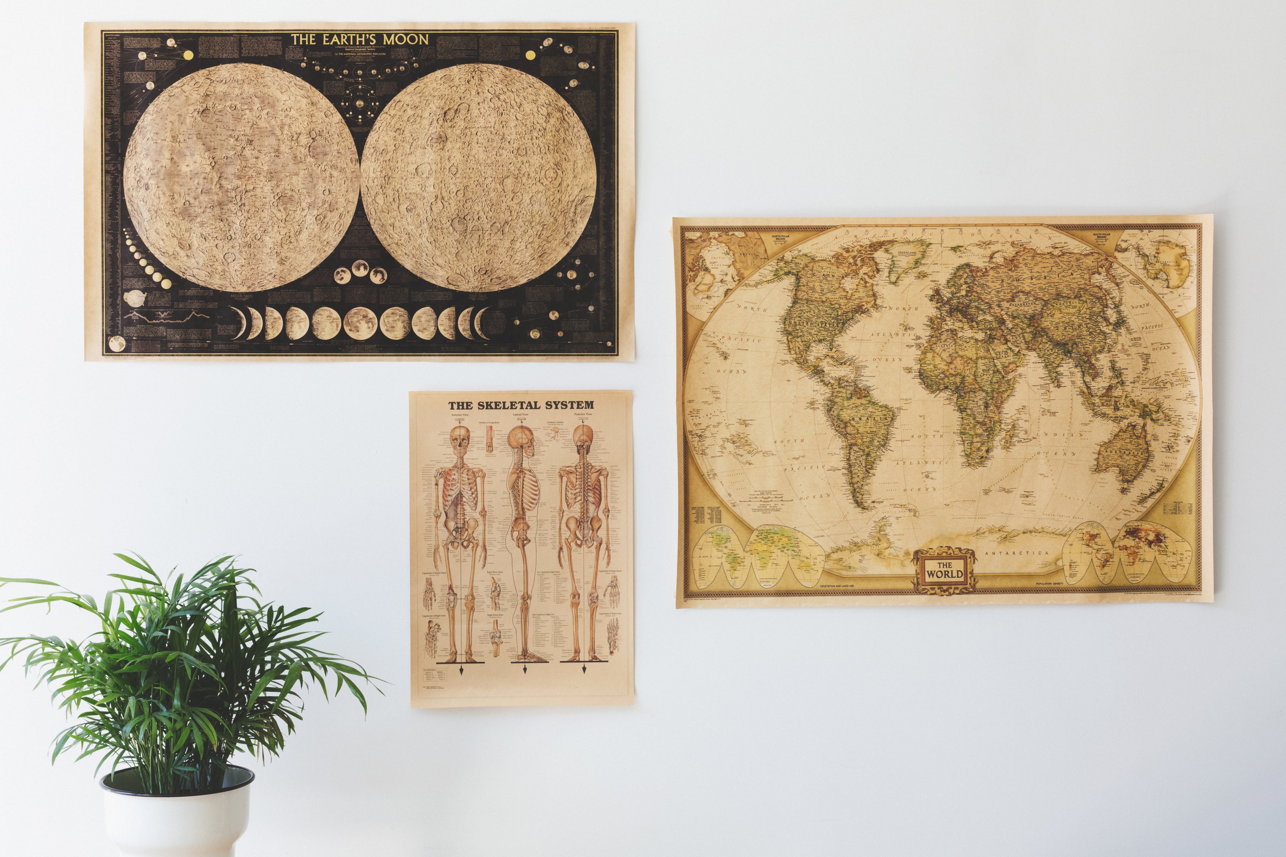 Home Decoration