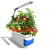 Hydroponic Desktop Grow Pot Lamp