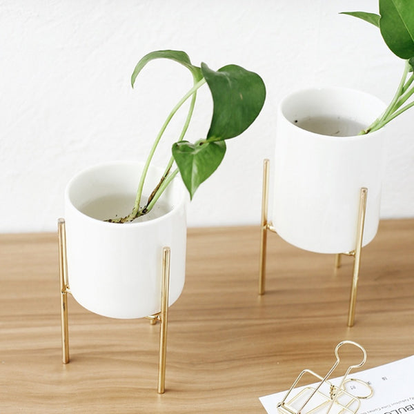 Small Plants Ceramic Flower Pot