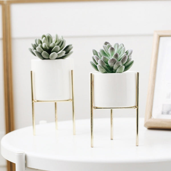 Small Plants Ceramic Flower Pot