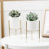 products/Europe-Small-Plants-Ceramic-Flower-Pot-White-Succulent-Planter-Garden-Bonsai-Pots-with-Geometric-Iron-Rack_27b45e75-b098-419e-83ba-9596d20a1764.jpg