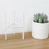 products/Europe-Small-Plants-Ceramic-Flower-Pot-White-Succulent-Planter-Garden-Bonsai-Pots-with-Geometric-Iron-Rack_ee3655aa-dd5d-4e0d-ba8c-6c9f79980f3a.jpg