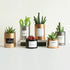 products/OUSSIRRO-INS-Nordic-Style-Metal-Can-Cylinder-industry-DIY-Plant-Holder-Desk-Organizers-MultiUse-Vens-Office_2b7d7edc-28b5-47f2-b4ed-af1a9a777369.jpg