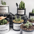 products/OUSSIRRO-INS-Nordic-Style-Metal-Can-Cylinder-industry-DIY-Plant-Holder-Desk-Organizers-MultiUse-Vens-Office.jpg