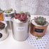 products/OUSSIRRO-INS-Nordic-Style-Metal-Can-Cylinder-industry-DIY-Plant-Holder-Desk-Organizers-MultiUse-Vens-Office_9bb9e8fc-d7c7-455e-bdb6-1e638941e9b8.jpg
