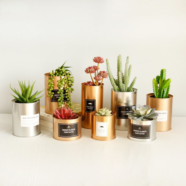 Metal Can Plant Holder