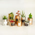 products/OUSSIRRO-INS-Nordic-Style-Metal-Can-Cylinder-industry-DIY-Plant-Holder-Desk-Organizers-MultiUse-Vens-Office_fd95ca48-2e08-4dcc-a505-6858bb0ef101.jpg